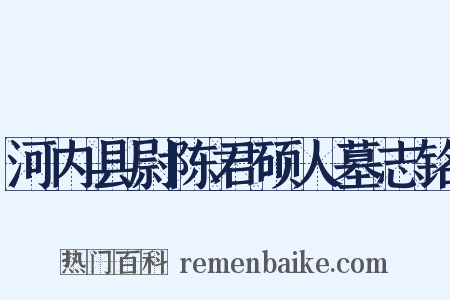 河内县尉陈君硕人墓志铭是什么意思的图片